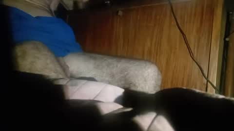 Snapshot of dario48 chatting on 12/20/24, 03:47 dario48 online show from 12/20/24, 03:47