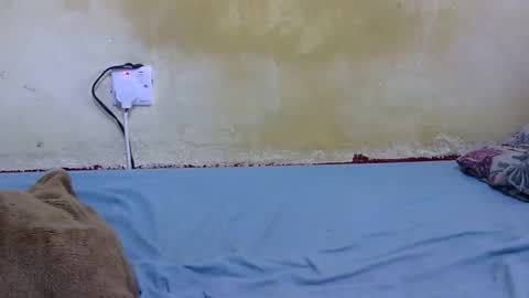 dark_princess1 online show from 02/13/26, 09:05