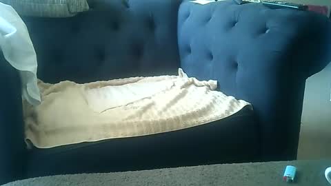 DarkAngel online show from 01/08/25, 09:01