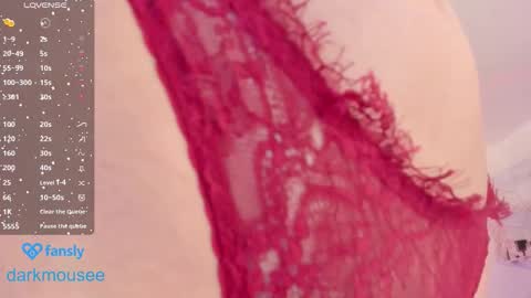 Snapshot of darkmousee chatting on 12/03/25, 01:20 Grace online show from 12/03/25, 01:20