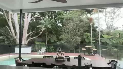 Snapshot of dartanian0001 chatting on 09/18/25, 08:55 dartanian0001 online show from 09/18/25, 08:55