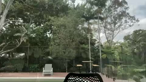 Snapshot of dartanian0001 chatting on 10/01/25, 12:38 dartanian0001 online show from 10/01/25, 12:38