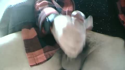 Dartrok online show from 02/17/25, 12:59