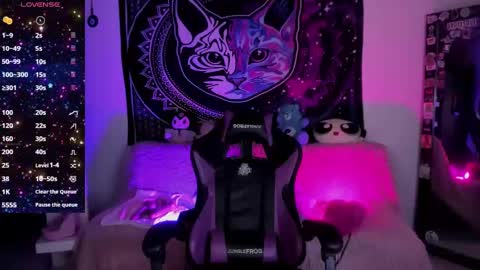 daryimiau online show from 09/17/25, 08:49