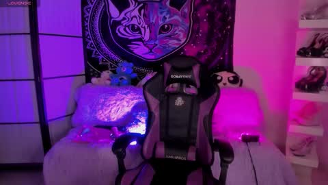 daryimiau online show from 11/26/25, 09:10