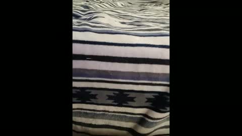 Snapshot of dat_guy8806 chatting on 01/05/26, 11:52 dat_guy8806 online show from 01/05/26, 11:52