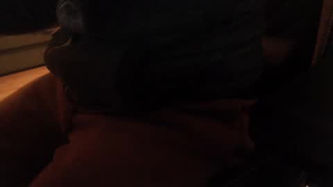 davdao3 online show from 12/20/24, 10:38