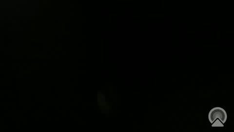 Snapshot of daveeveline chatting on 11/11/25, 12:38 daveeveline online show from 11/11/25, 12:38