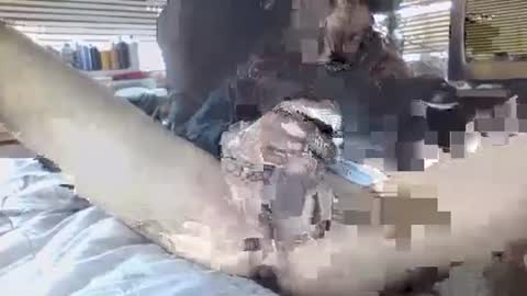 Snapshot of davinsdick chatting on 09/30/25, 06:35 Your daddy online show from 09/30/25, 06:35