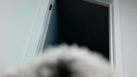 Snapshot of davyd11 chatting on 09/18/25, 04:31 Davvyd online show from 09/18/25, 04:31