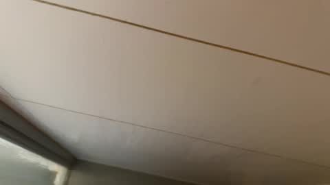 Hornybear online show from 01/19/26, 06:39