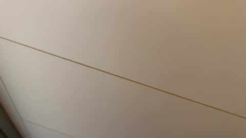 Hornybear online show from 02/27/26, 07:25