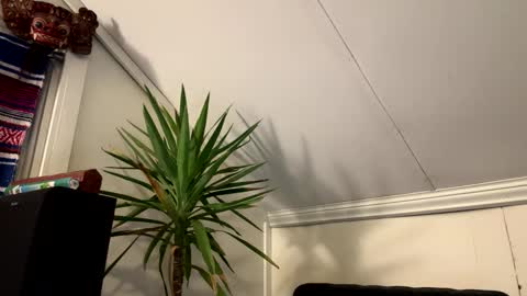 Snapshot of dayblue chatting on 03/02/26, 02:58 dayblue online show from 03/02/26, 02:58