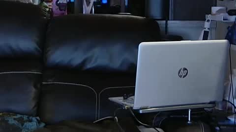 Snapshot of ddboobman chatting on 02/06/25, 11:48 want girl to play with me online show from 02/06/25, 11:48