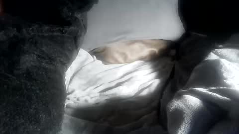 ddick0303 online show from 04/12/26, 05:40