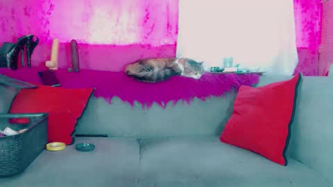 deboragill online show from 03/13/26, 10:05