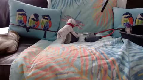 Snapshot of deeperjohnny chatting on 10/21/25, 03:35 deeperjohnny online show from 10/21/25, 03:35