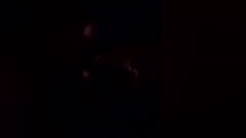 deerpark9 online show from 04/19/26, 03:06