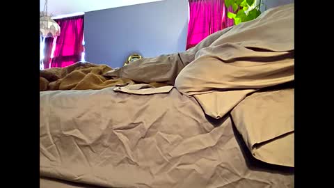 Snapshot of definitelymasterbating chatting on 03/17/26, 02:42 definitelymasterbating online show from 03/17/26, 02:42