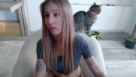 Di online show from 05/11/26, 04:04