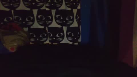 CozyClementine online show from 04/09/26, 08:09