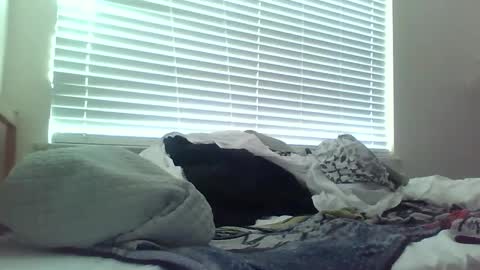 Snapshot of delightfuldark chatting on 02/15/25, 11:47 delightfuldark online show from 02/15/25, 11:47