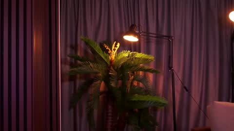 Delilah online show from 02/07/26, 09:07