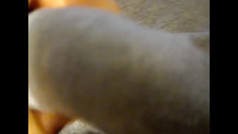 Snapshot of deliv_shopi chatting on 11/25/25, 04:18 deliv_shopi online show from 11/25/25, 04:18