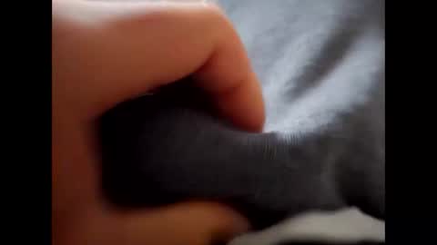 Snapshot of deliv_shopi chatting on 12/01/25, 09:47 deliv_shopi online show from 12/01/25, 09:47