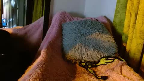 dember_osohot online show from 03/09/25, 12:31