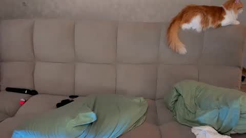 Victoria and Nara twitterinstagram dementra rawrr online show from 03/08/25, 02:55