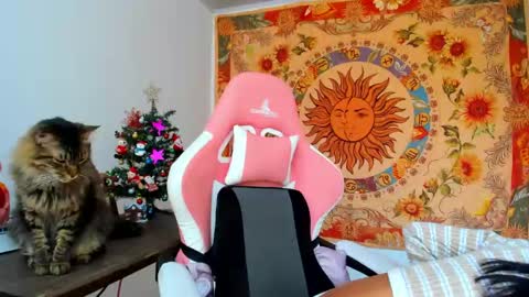 Snapshot of demeter__ chatting on 12/11/24, 04:53 demeter__ online show from 12/11/24, 04:53