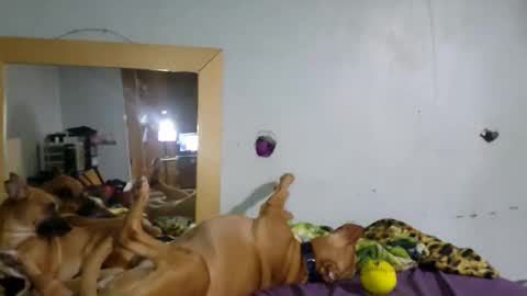 demivercetti online show from 12/22/25, 04:42