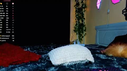 Demmi online show from 02/15/25, 12:48