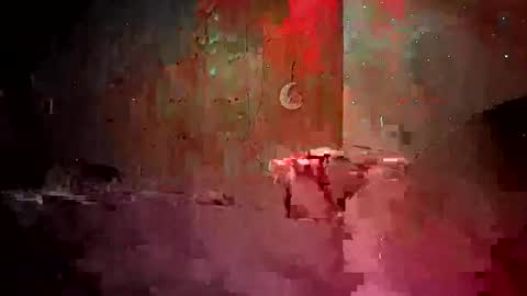 den2807 online show from 04/19/26, 12:11