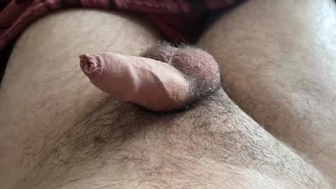 Snapshot of denis647 chatting on 11/16/25, 03:28 LilRoach online show from 11/16/25, 03:28