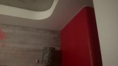 Snapshot of densex123 chatting on 12/29/24, 09:52 densex123 online show from 12/29/24, 09:52