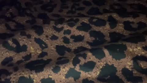 Snapshot of derek829099 chatting on 09/11/25, 06:57 derek829099 online show from 09/11/25, 06:57