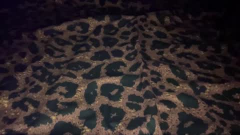 Snapshot of derek829099 chatting on 10/09/25, 07:06 derek829099 online show from 10/09/25, 07:06