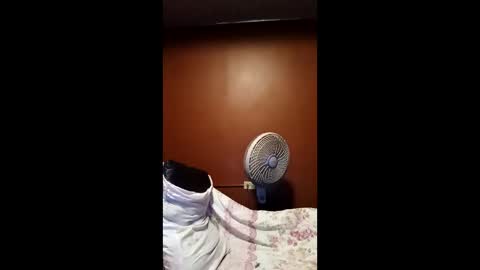 devensingh online show from 03/20/26, 05:34