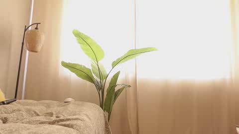 ...Ill be back ... online show from 03/12/26, 07:25