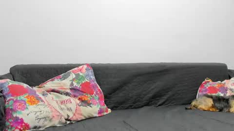 Misha online show from 02/03/25, 07:07