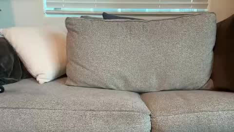 dgafsd online show from 12/15/25, 03:27