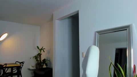 Snapshot of diagostone chatting on 01/15/25, 04:36 Diego online show from 01/15/25, 04:36