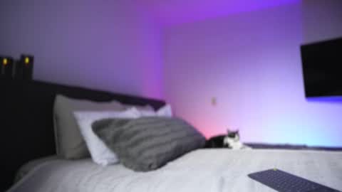 Snapshot of diagostone chatting on 11/26/25, 08:54 Diego online show from 11/26/25, 08:54