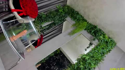 Snapshot of diamond_jo_ chatting on 02/08/25, 03:08 Jo online show from 02/08/25, 03:08