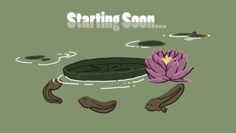 Snapshot of diana_smit_ chatting on 01/18/25, 02:55 diana online show from 01/18/25, 02:55