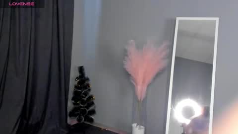 Snapshot of dianne_davis chatting on 01/30/25, 09:36 Dianne online show from 01/30/25, 09:36