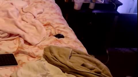 Sparkx online show from 03/01/26, 07:32