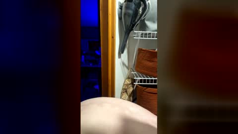 DickTaterish online show from 05/05/26, 06:43